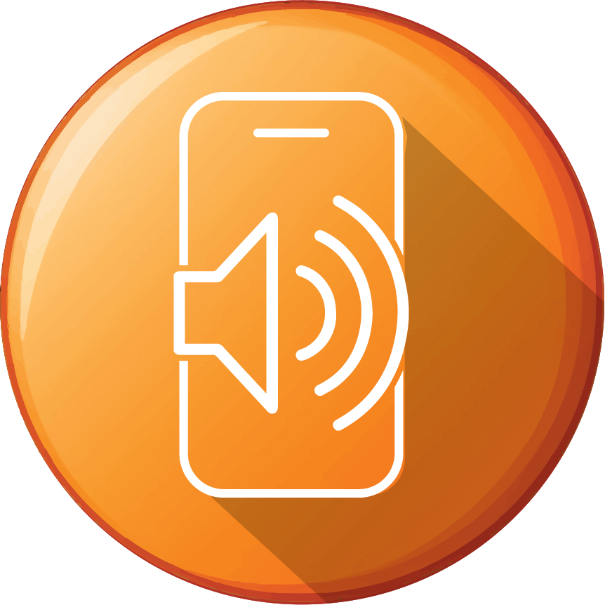 TCL 50 SE Speaker Repair